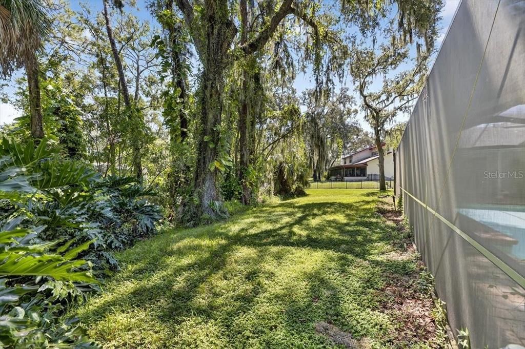Backyard, Exterior