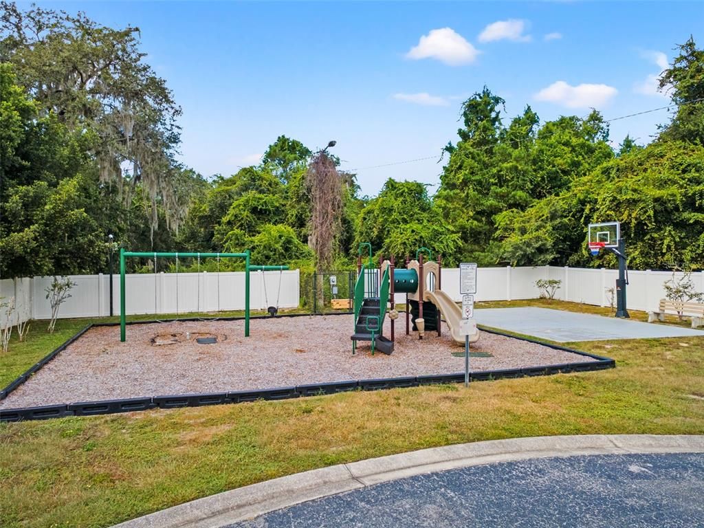 Backyard, Exterior, Playground