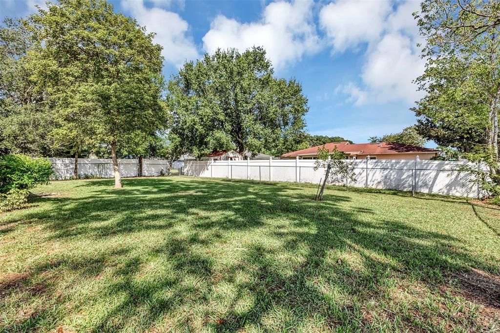 Backyard, Exterior
