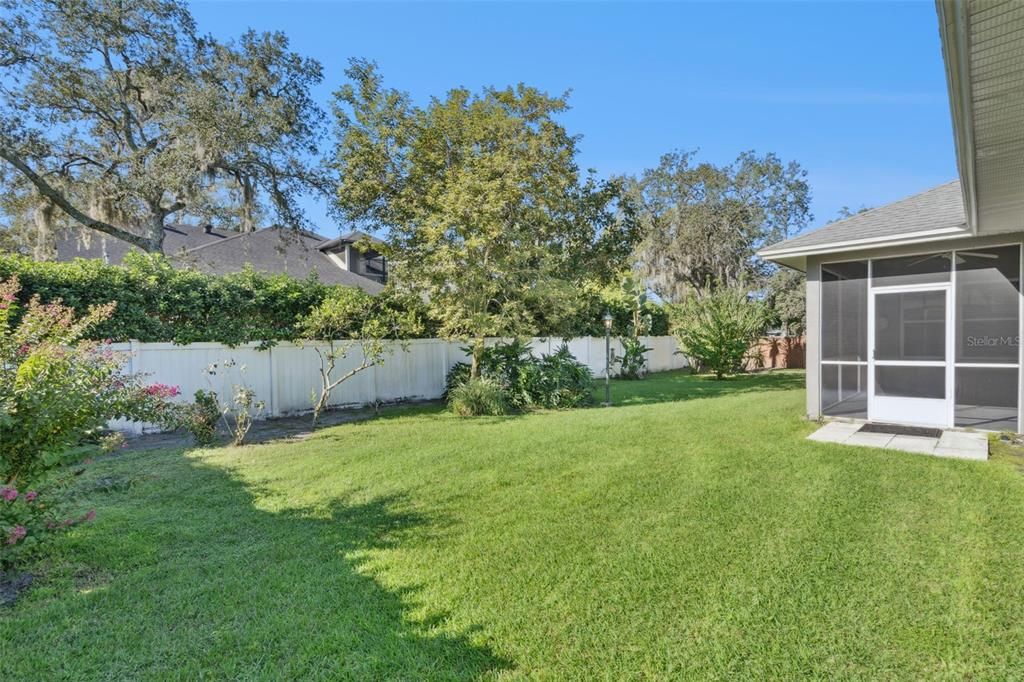 Backyard, Exterior