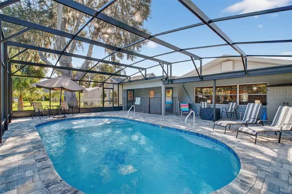 Glass Ceilings, Interior, Pool, Sun Room
