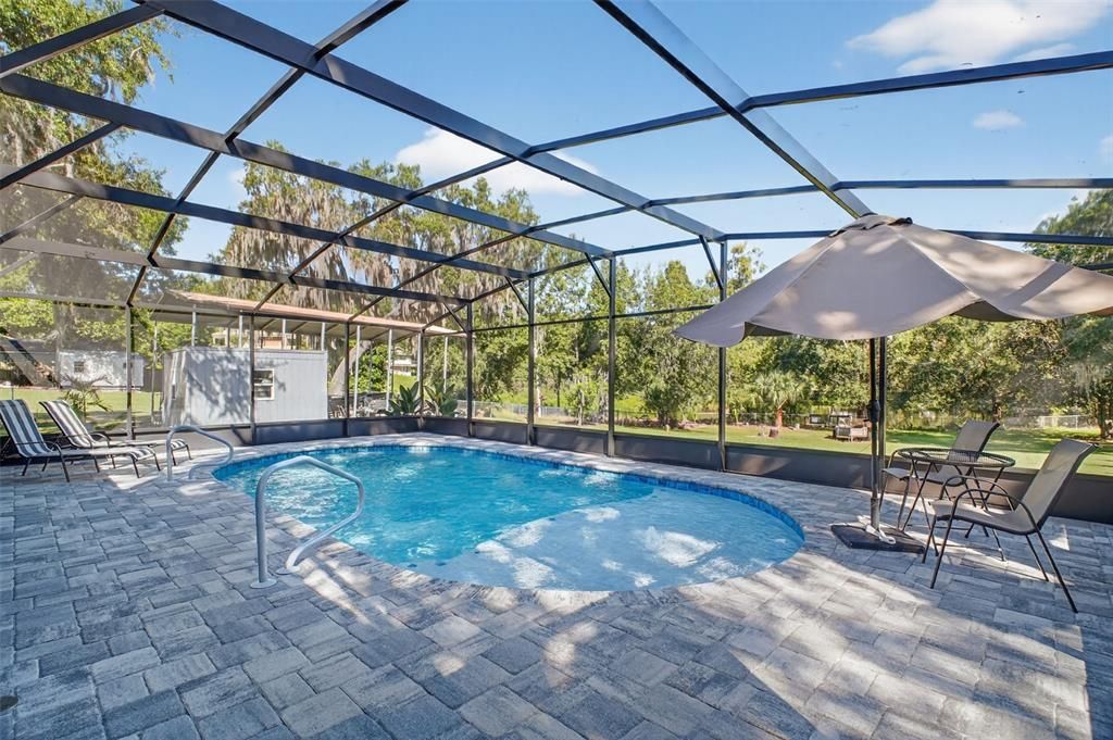 Glass Ceilings, Interior, Pool, Sun Room