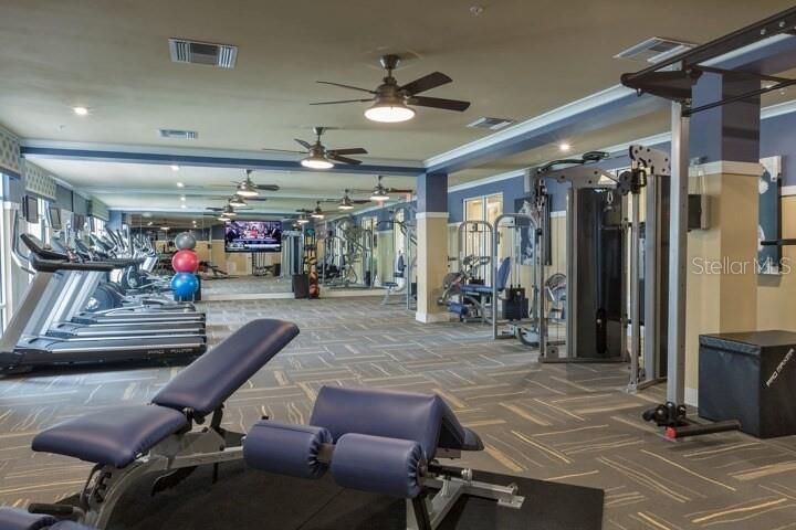 Fitness Equipment, Gym, Interior, Recessed Lighting