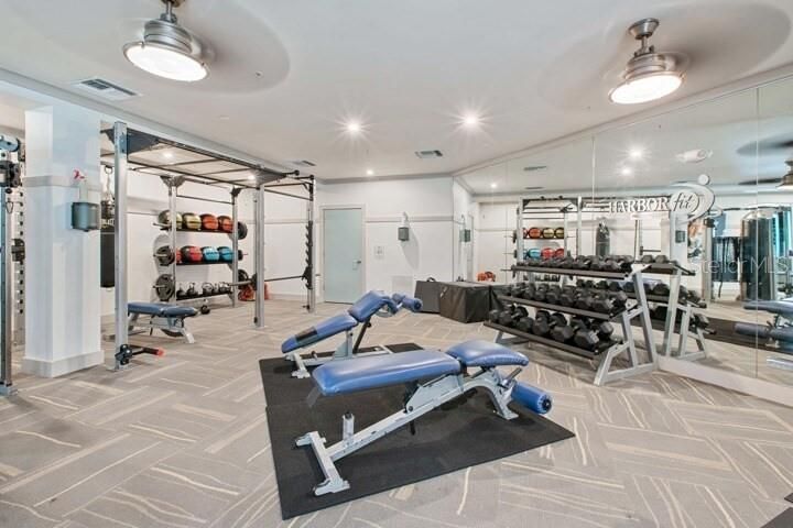 Fitness Equipment, Gym, Interior, Recessed Lighting