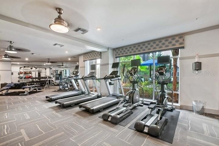 Fitness Equipment, Gym, Interior, Recessed Lighting