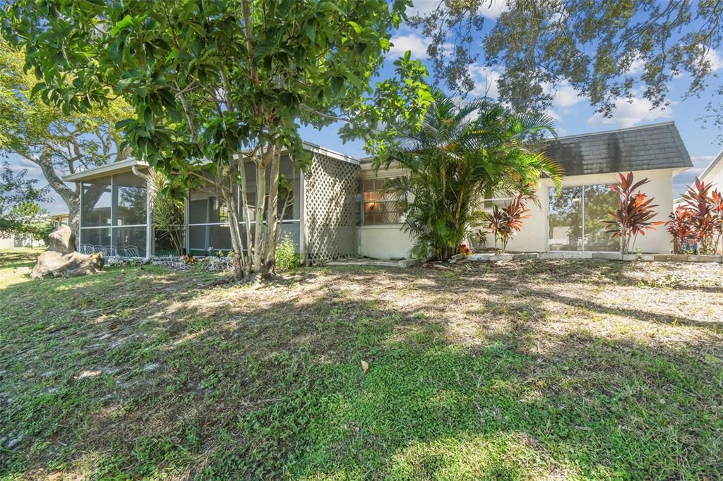Backyard, Exterior