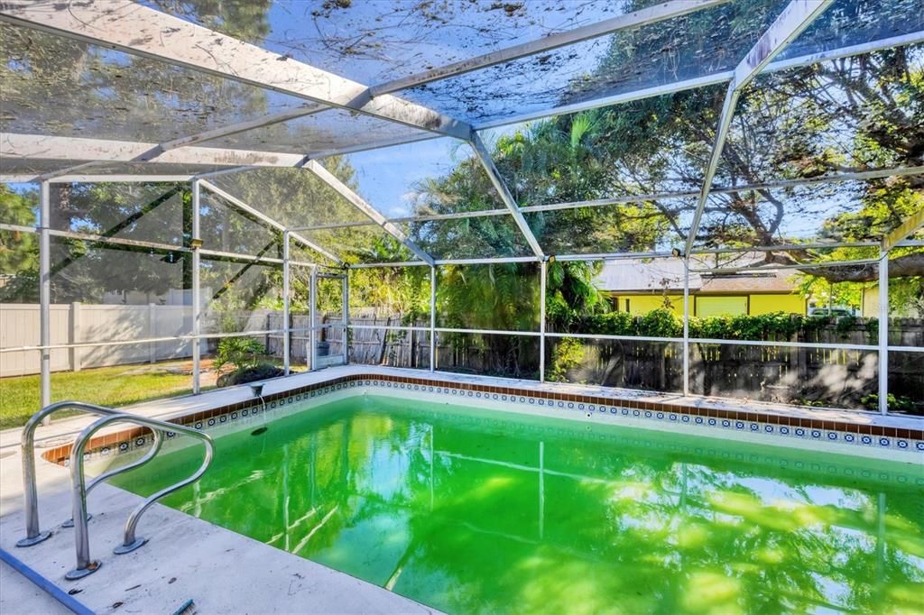 Glass Ceilings, Interior, Pool, Sun Room