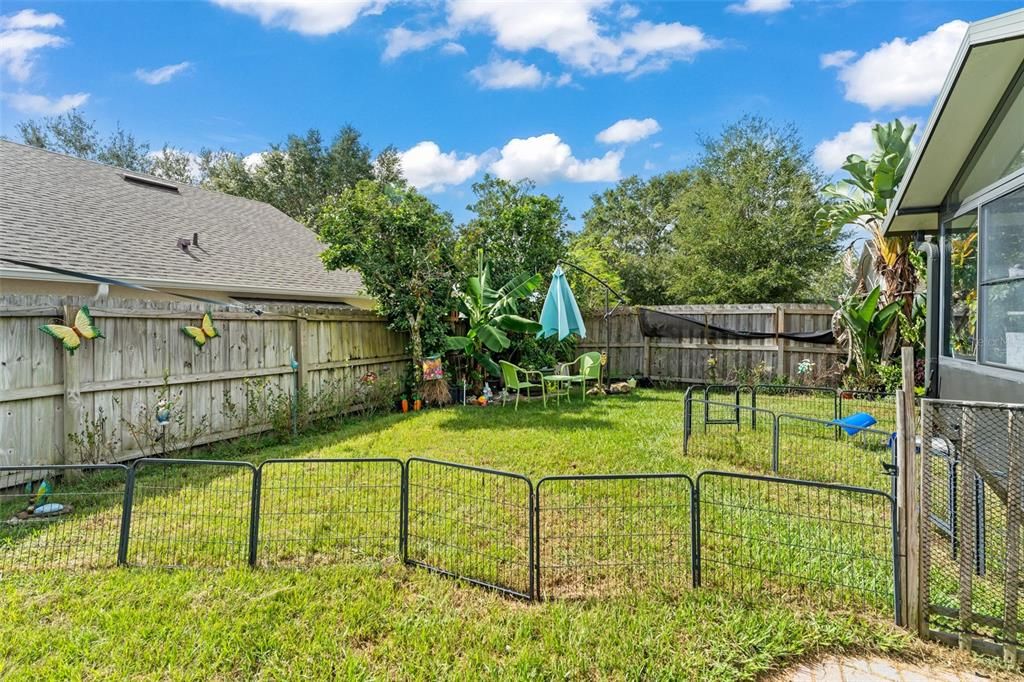 Backyard, Exterior