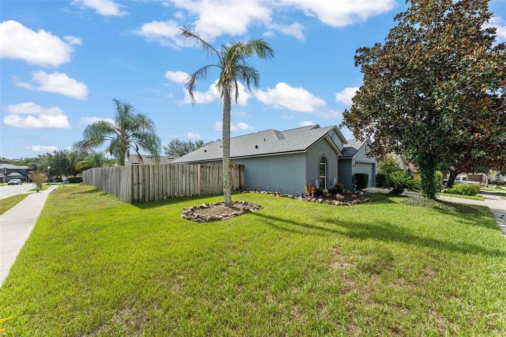 Backyard, Exterior