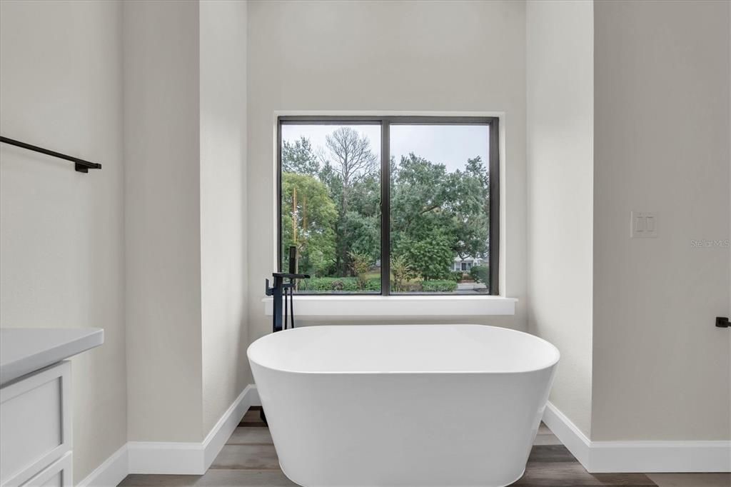 Bathroom, Free Standing Baths, Interior, Wood Texture Flooring