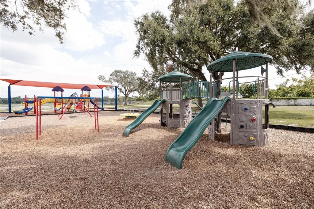 Backyard, Exterior, Playground
