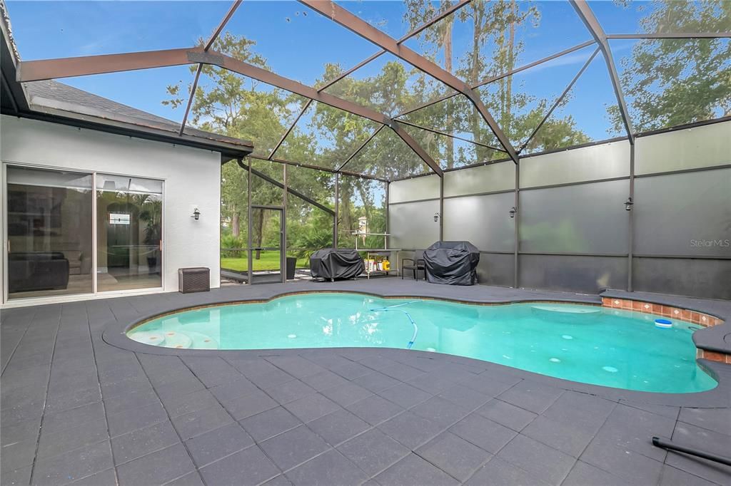 Glass Ceilings, Interior, Pool, Sun Room