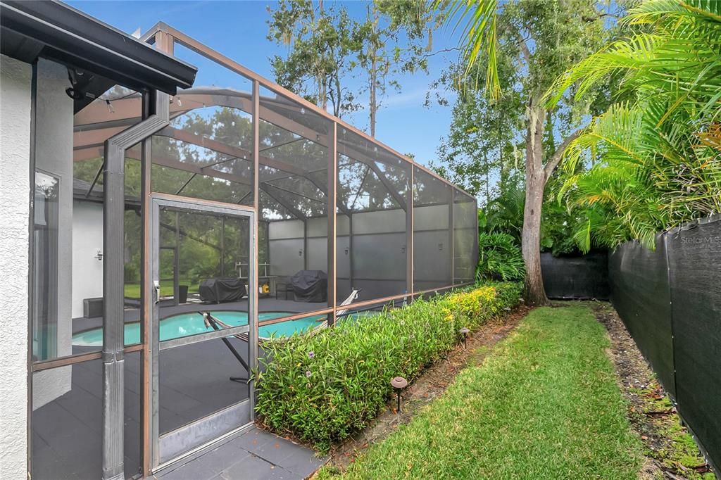 Backyard, Exterior, Pool