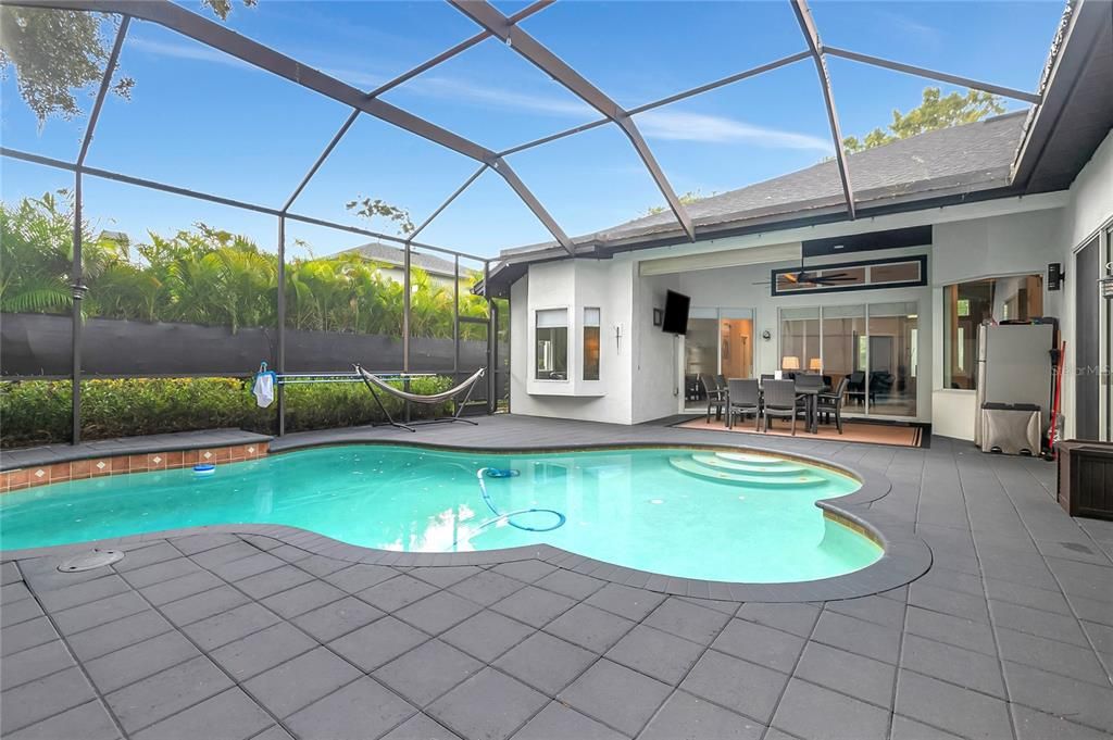 Glass Ceilings, Interior, Pool, Sun Room