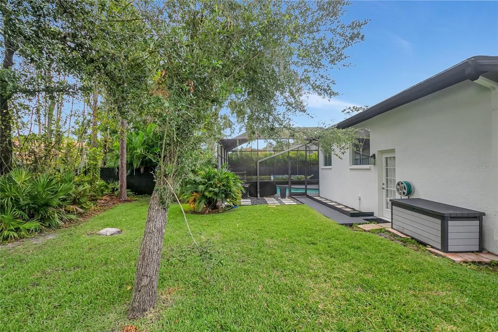 Backyard, Exterior