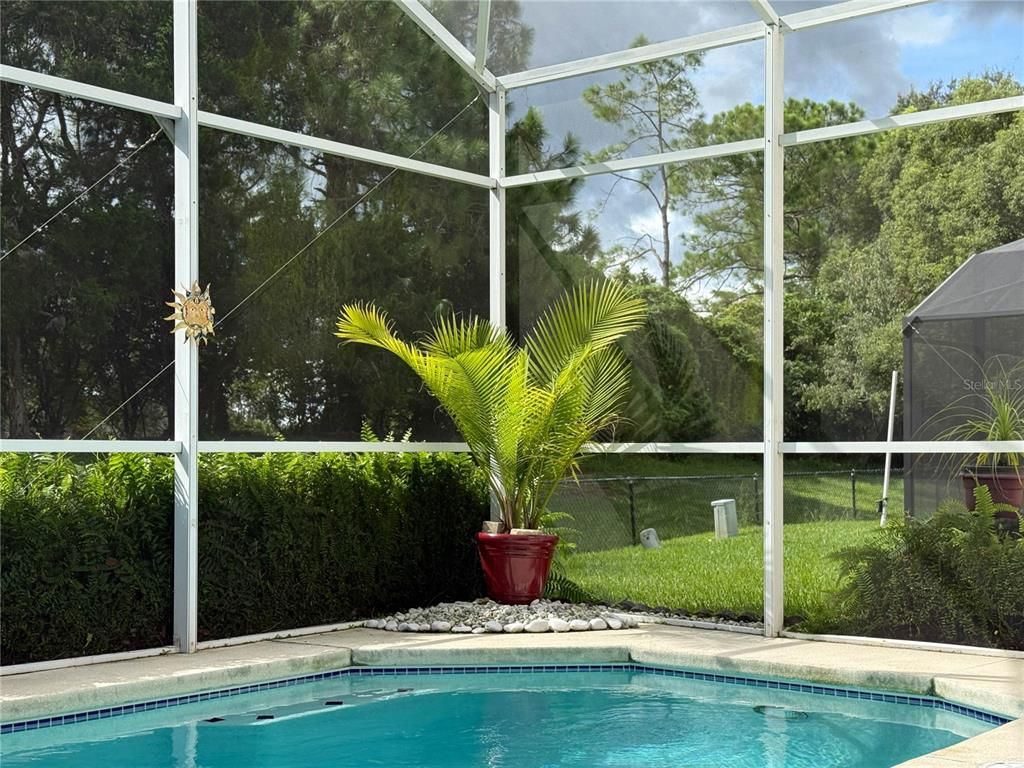 Glass Ceilings, Interior, Pool, Sun Room