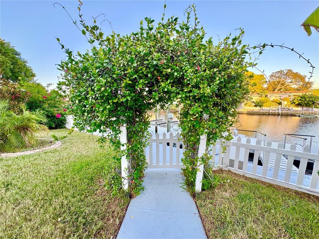 Backyard, Exterior, Water
