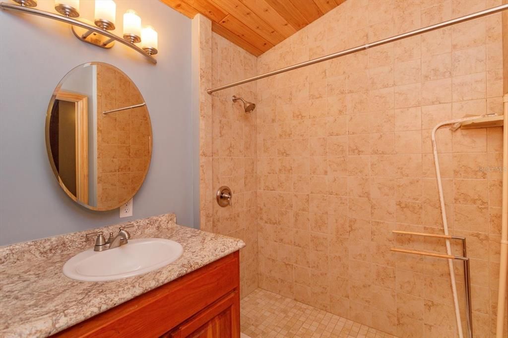 Bathroom, Interior, Wooden Ceilings