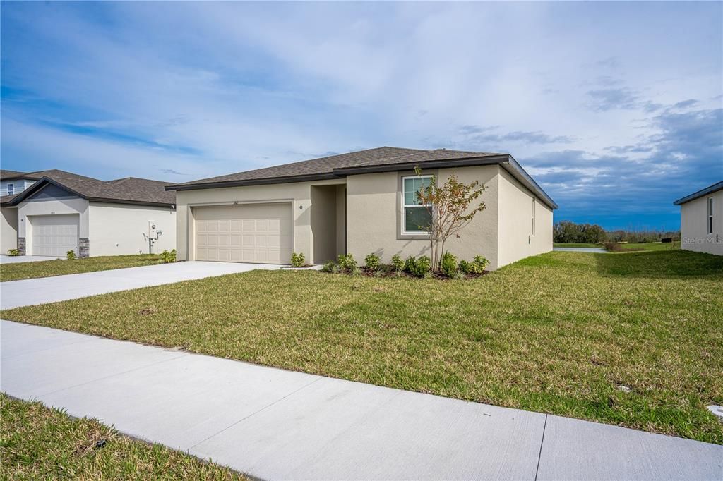 Backyard, Exterior, Water