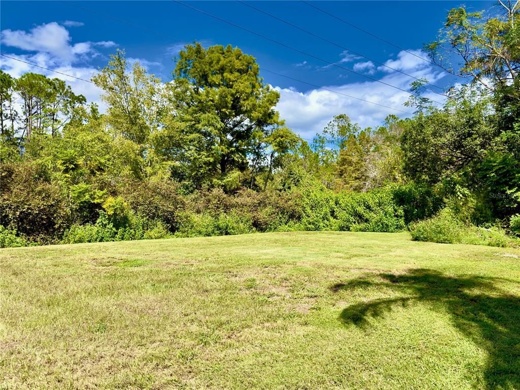 Backyard, Exterior