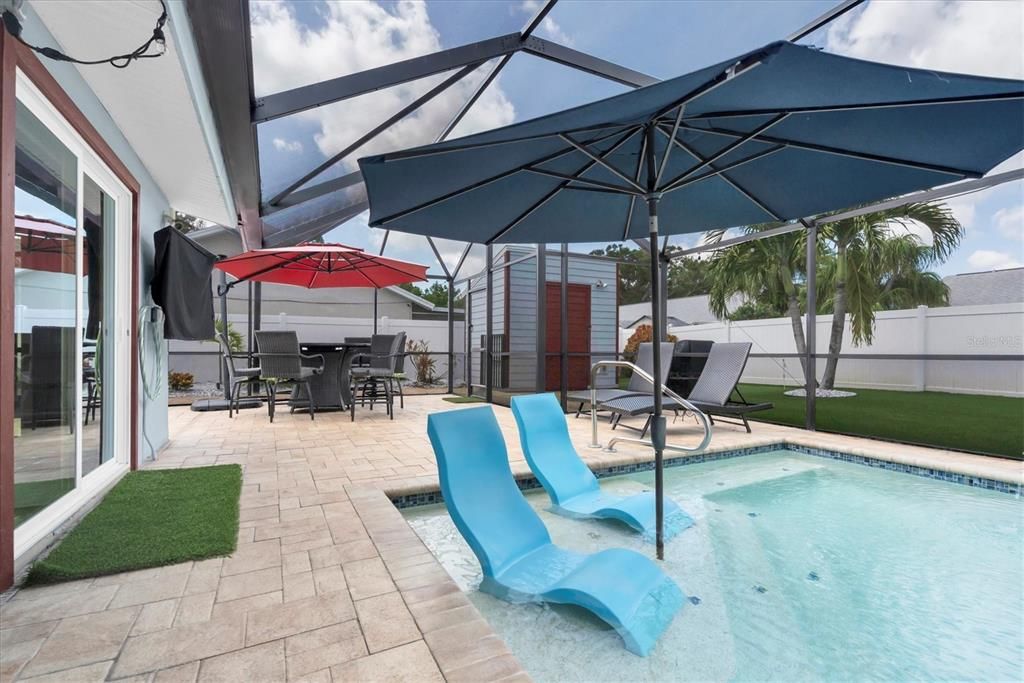 Glass Ceilings, Interior, Pool, Sun Room