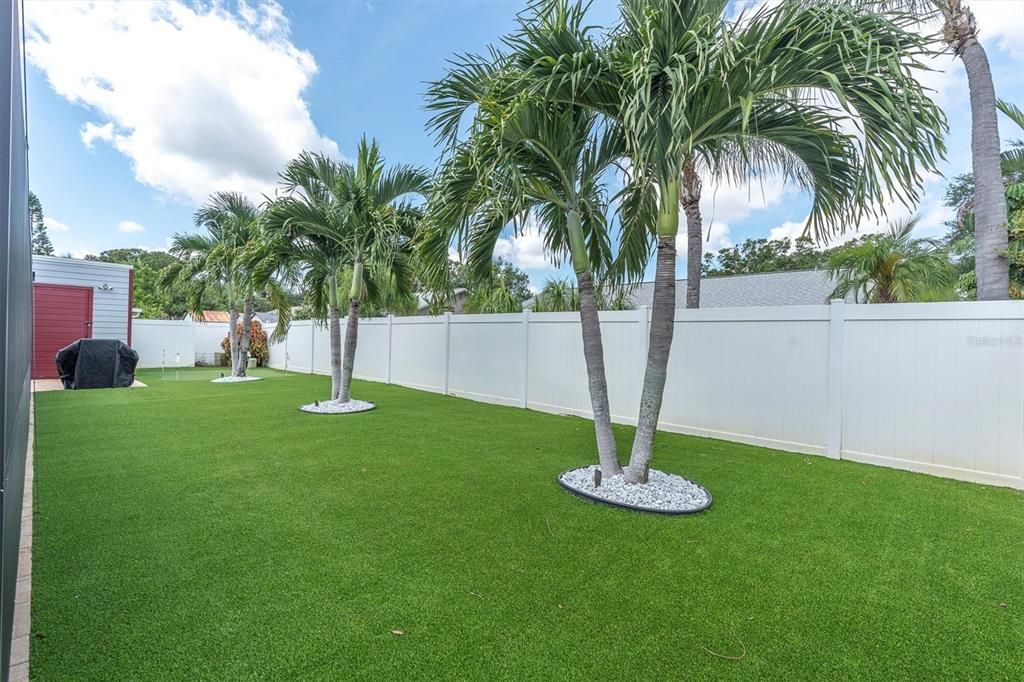 Backyard, Exterior