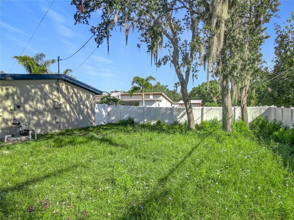 Backyard, Exterior