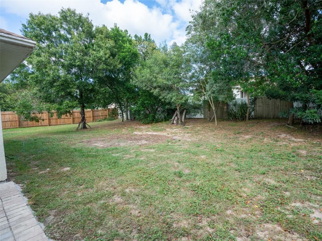 Backyard, Exterior, Playground