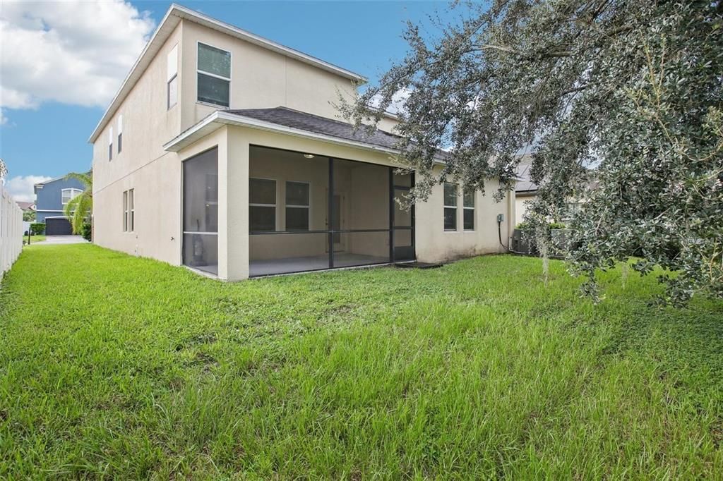 Backyard, Exterior
