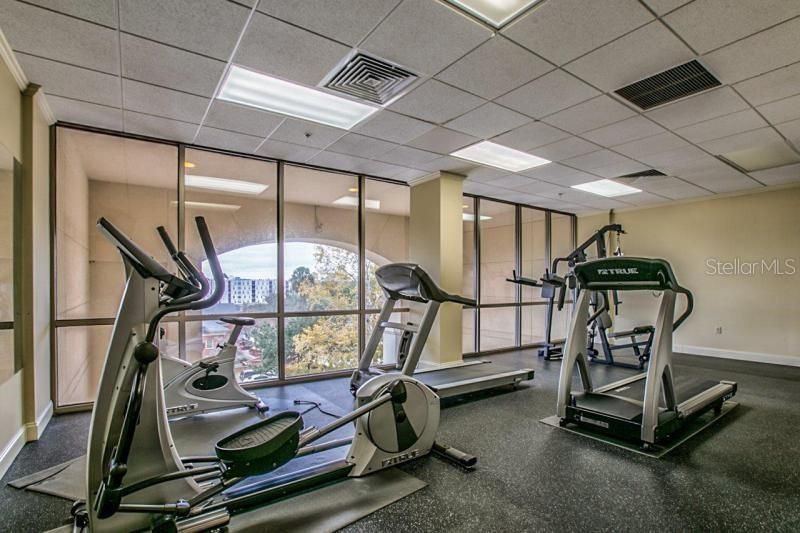 Fitness Equipment, Interior, Recessed Lighting