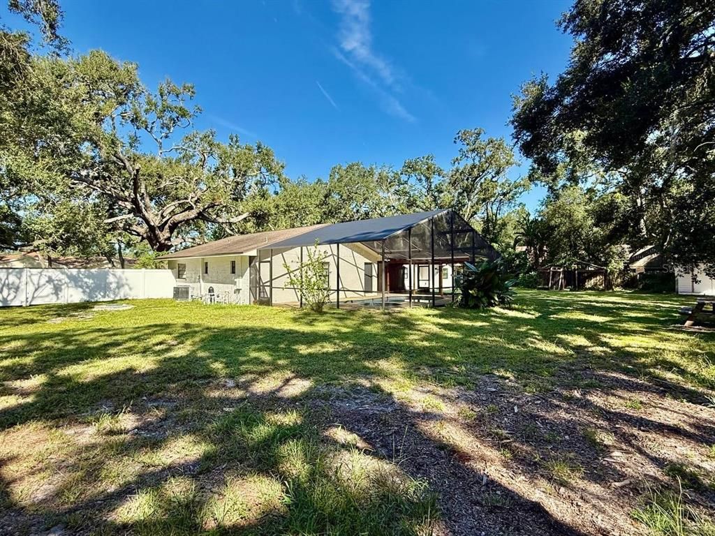 Backyard, Exterior