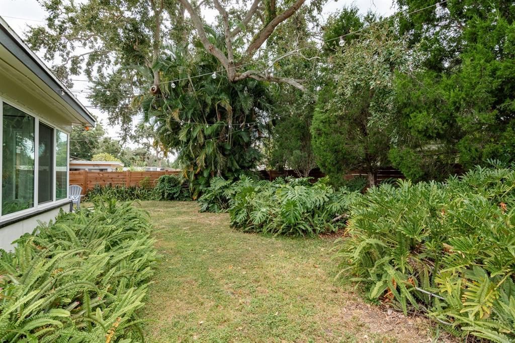 Backyard, Exterior
