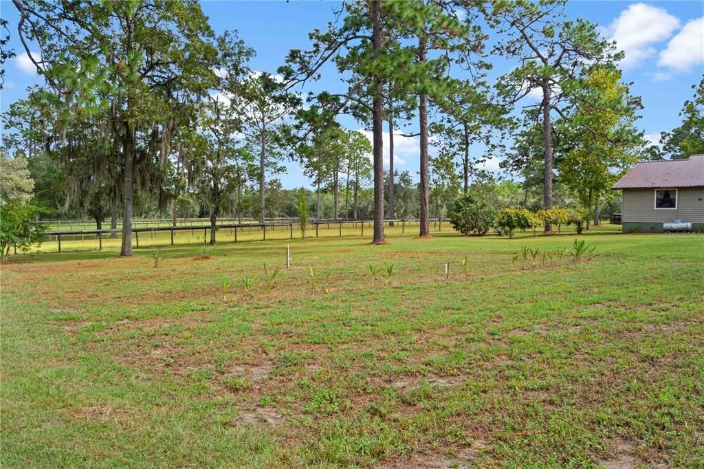 Backyard, Exterior