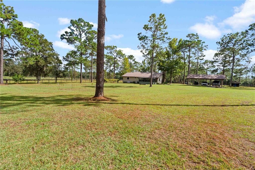 Backyard, Exterior