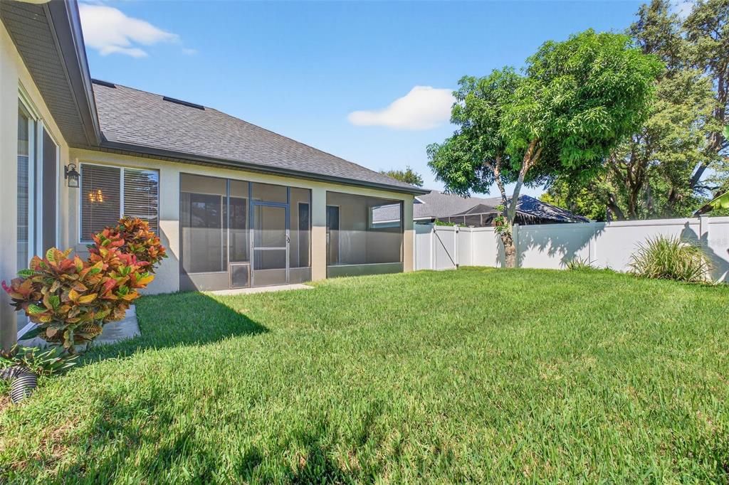 Backyard, Exterior