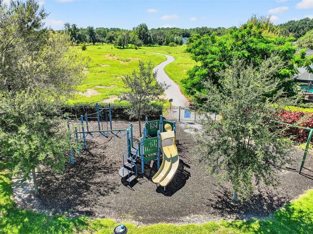 Backyard, Exterior, Playground