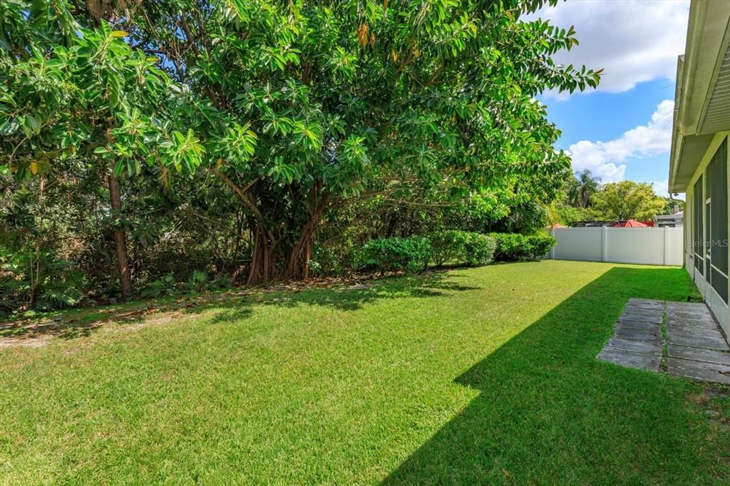 Backyard, Exterior