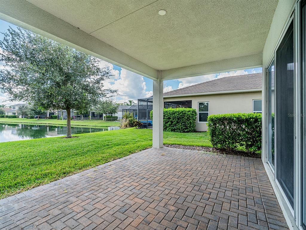 Backyard, Exterior, Water