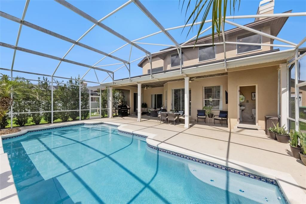 Glass Ceilings, Interior, Pool, Sun Room