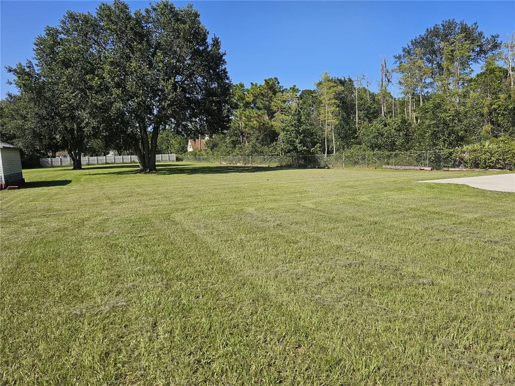 Backyard, Exterior