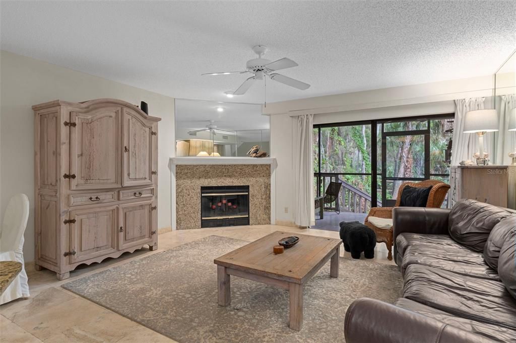 Fireplace, Interior, Living room