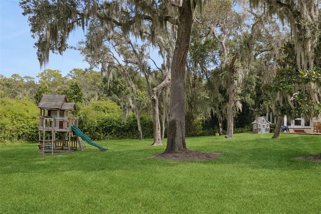 Backyard, Exterior, Playground