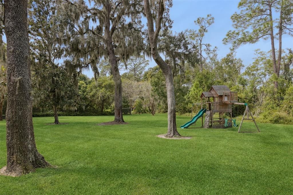 Backyard, Exterior, Playground