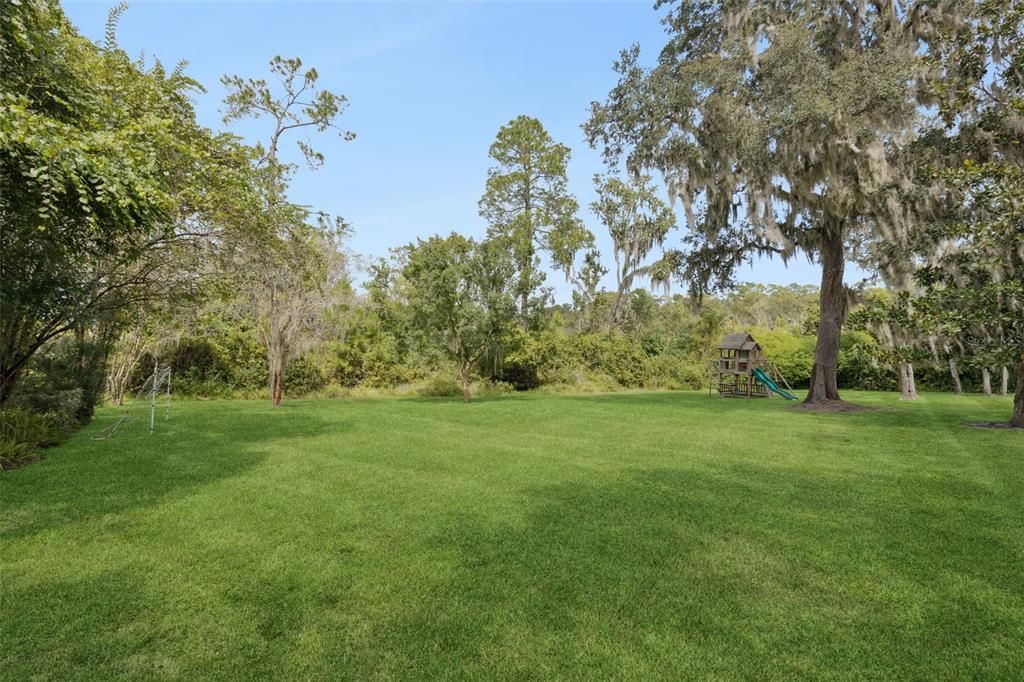 Backyard, Exterior, Playground