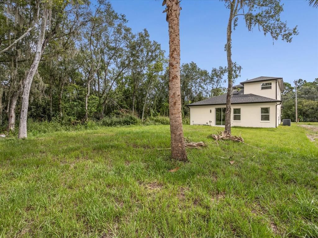 Backyard, Exterior