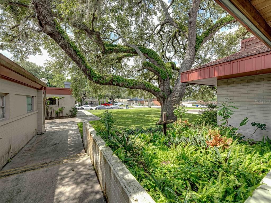 Backyard, Exterior