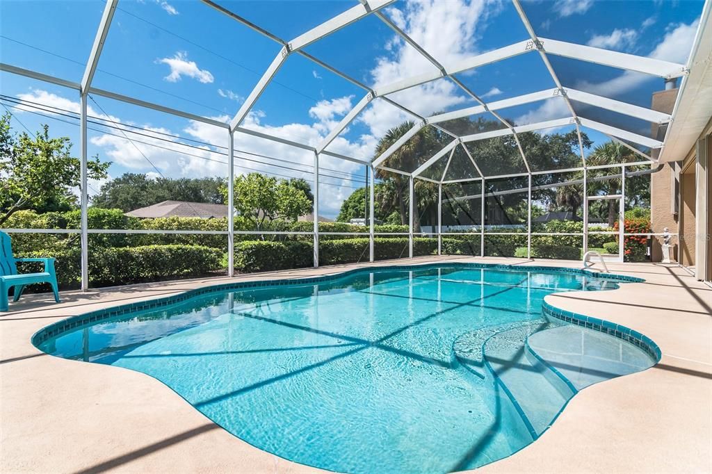 Glass Ceilings, Interior, Pool, Sun Room