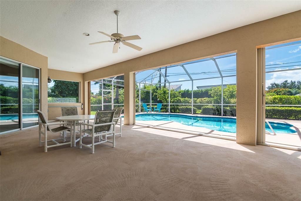 Glass Ceilings, Interior, Pool, Sun Room