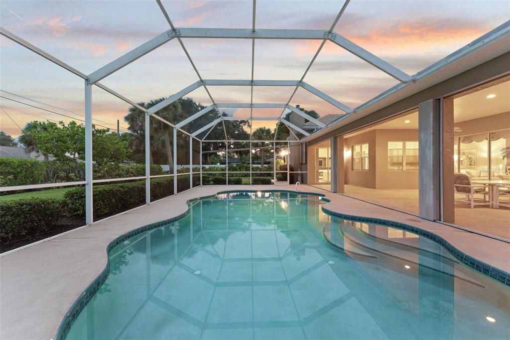 Glass Ceilings, Interior, Pool, Sun Room