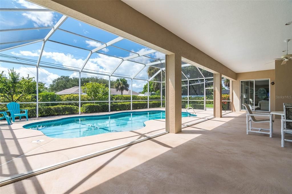 Glass Ceilings, Interior, Pool, Sun Room